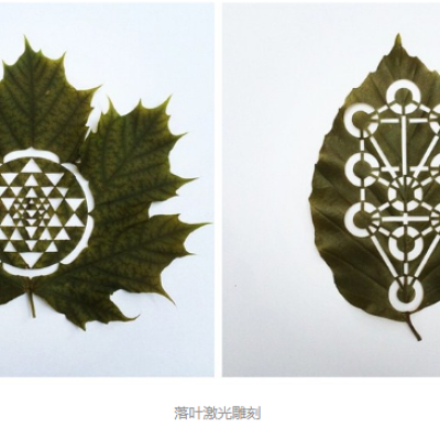 91看片免费版污雕刻创意落叶：精雕细刻，成就精品